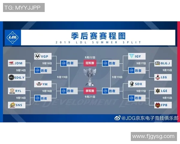 深入解析JDG战队电竞比分数据背后的战术表现与胜负关键因素